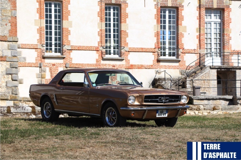 ford mustang 289 a l arriere du chateau