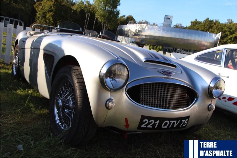 austin healey 3000 mk ii