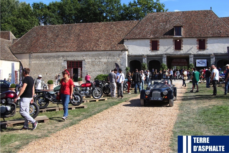 morgan traversant la cours de la ferme attenante au chateau reservee aux preparateurs